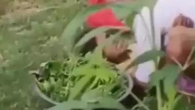 Old Man Hard Muth Marte Porn Video - Old Man Fucking Randi In Jungle indian sex video