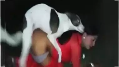 380px x 214px - Desi Aunty Fuck With Dog In A Outdoors indian sex video